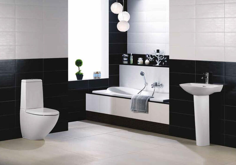 Toilettenverstopfung 